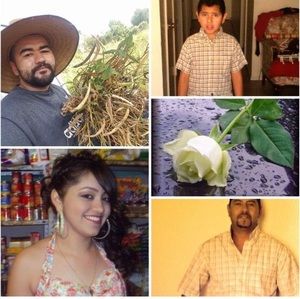 Meet your Posher, Raphael